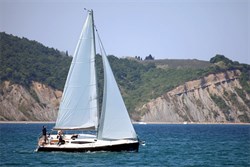 Cobra 33
