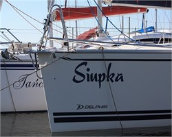Delphia 26