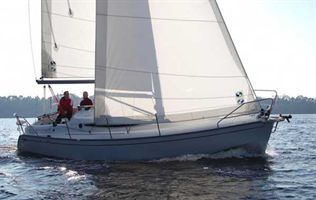 Delphia 29.2