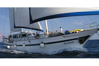 Fortuna (7Cab)