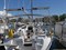 Bavaria 46 Cruiser (4Cab)