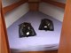 custom/32253/IMG_5583_pic13