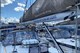 custom/39591/Pacharan1_7_pic7