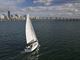 sunodyssey349_pic5